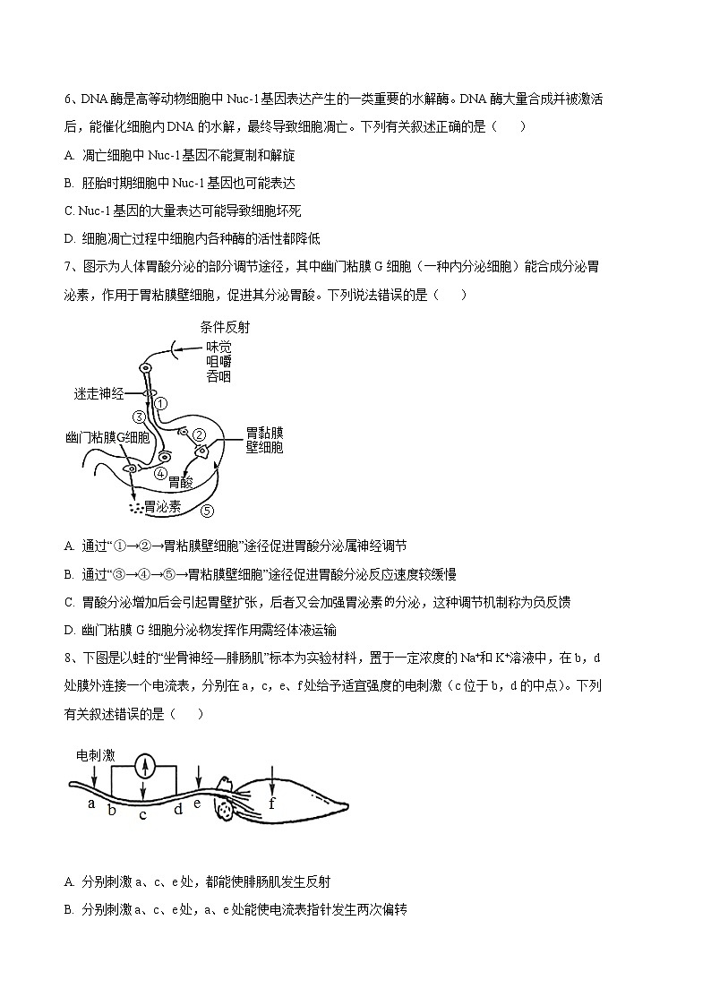 2023年高考第三次模拟考试卷-生物（湖北B卷）（考试版）03