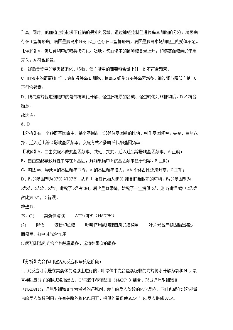 2023年高考第三次模拟考试卷-生物（全国乙卷A卷）（全解全析）第3页