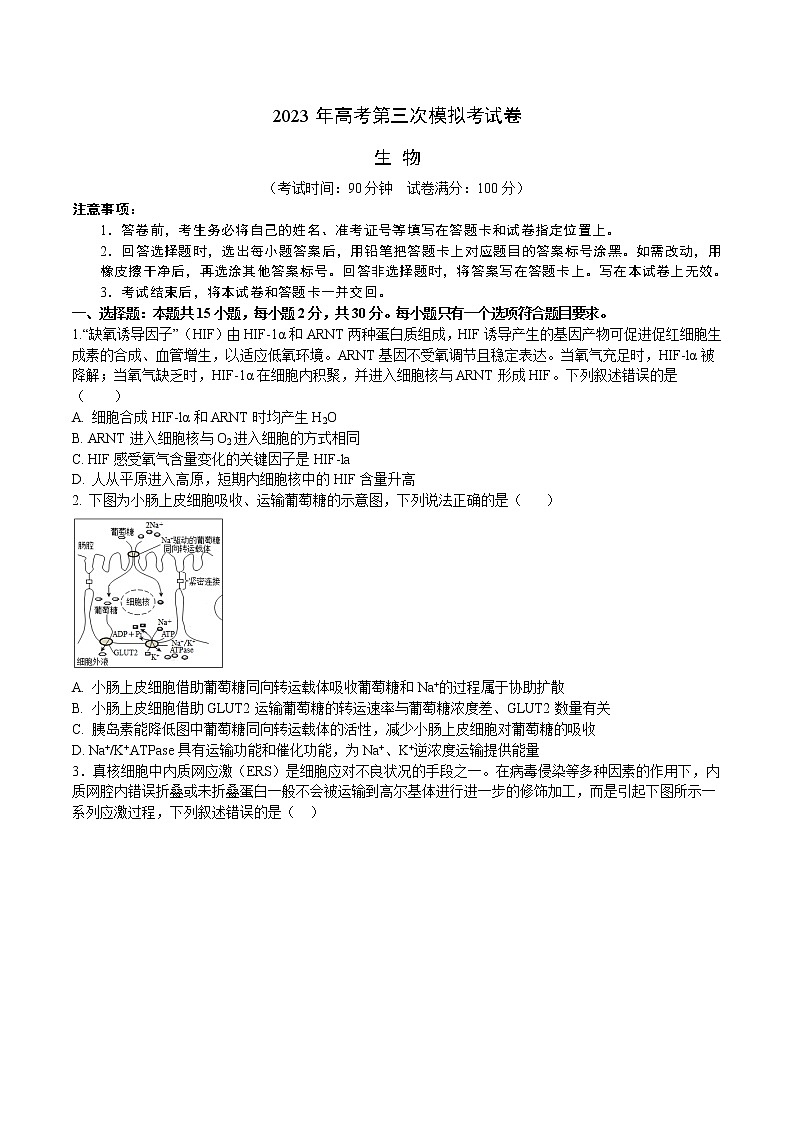 2023年高考第三次模拟考试卷-生物（山东A卷）（考试版）A4第1页