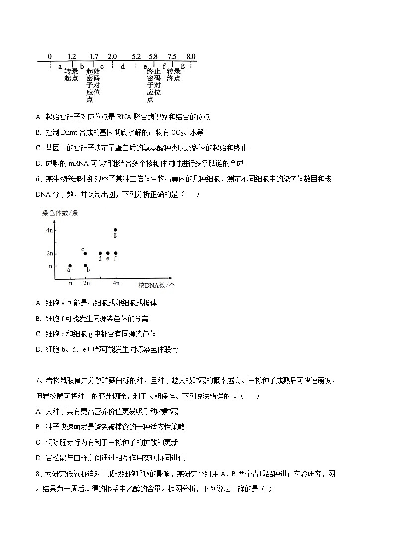 2023年高考第三次模拟考试卷-生物（天津B卷）（考试版）第3页