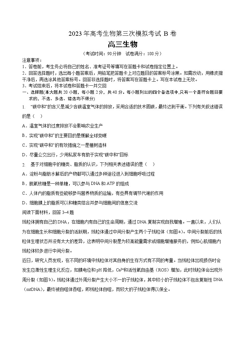 2023年高考第三次模拟考试卷-生物（浙江B卷）（考试版）01
