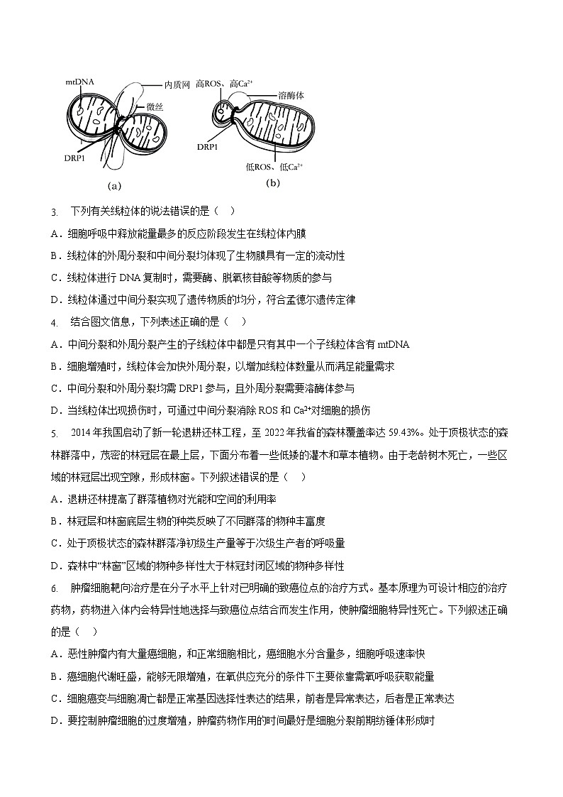 2023年高考第三次模拟考试卷-生物（浙江B卷）（考试版）02