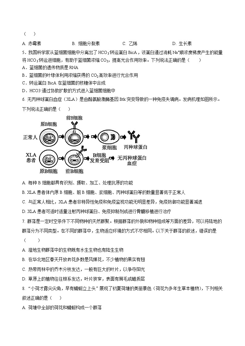 2023年高考第三次模拟考试卷-生物（重庆A卷）（考试版）第2页