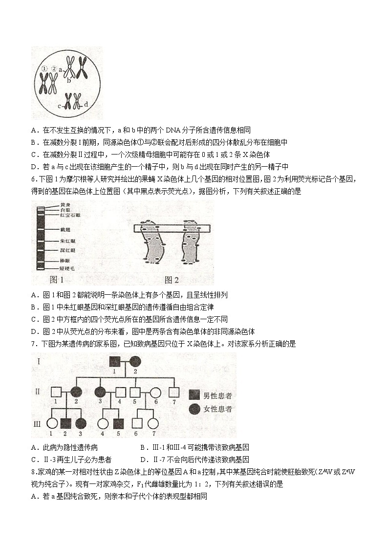江苏省常熟市2022-2023学年高一生物下学期期中（选修）试题（Word版附答案）02