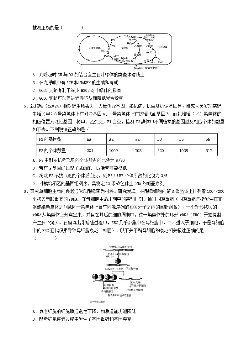 重庆市育才中学2023届高三生物下学期期中考试试卷（Word版附答案）02