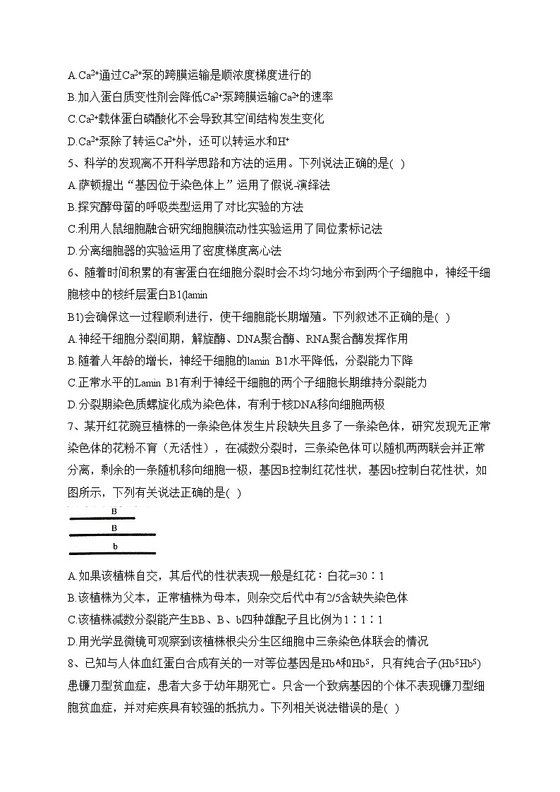 新宁县崀山培英学校2022届高三下学期第三次模拟考试生物试卷(含答案)02