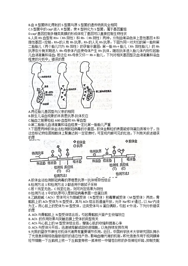 广东省惠州市2023届高三生物下学期一模试题（Word版附答案）02