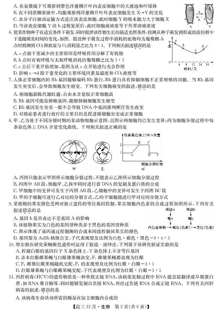 2021年宝鸡教育联盟高考猜题-生物第2页