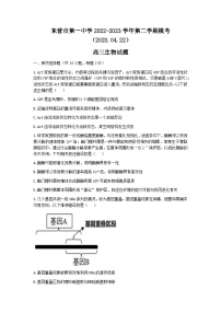 山东省东营市第一中学2022-2023学年高三生物下学期二模试题（Word版附答案）