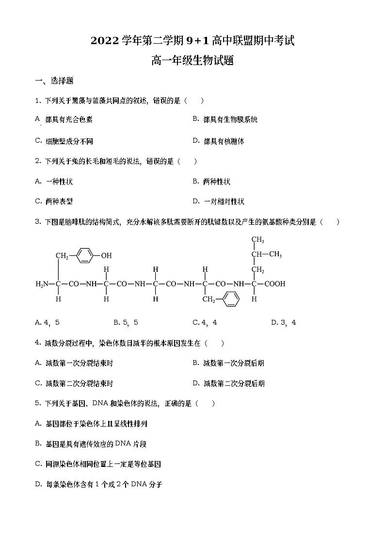 浙江省91高中联盟2022-2023学年高一生物下学期期中试题（Word版附答案）第1页