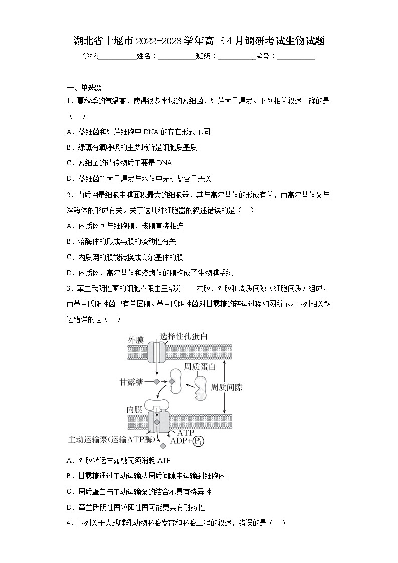 湖北省十堰市2022-2023学年高三4月调研考试生物试题01