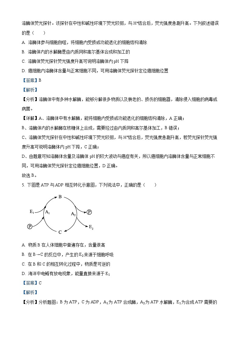 浙江省浙北G2联盟2022-2023学年高一生物下学期4月期中联考试题（Word版附解析）03