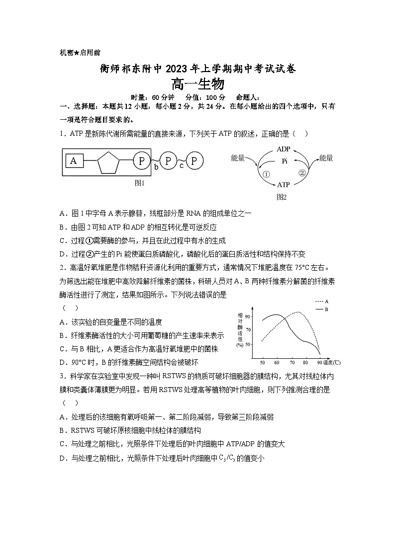湖南省衡阳师范学院祁东附属中学2022-2023学年高一下学期期中考试生物试题01