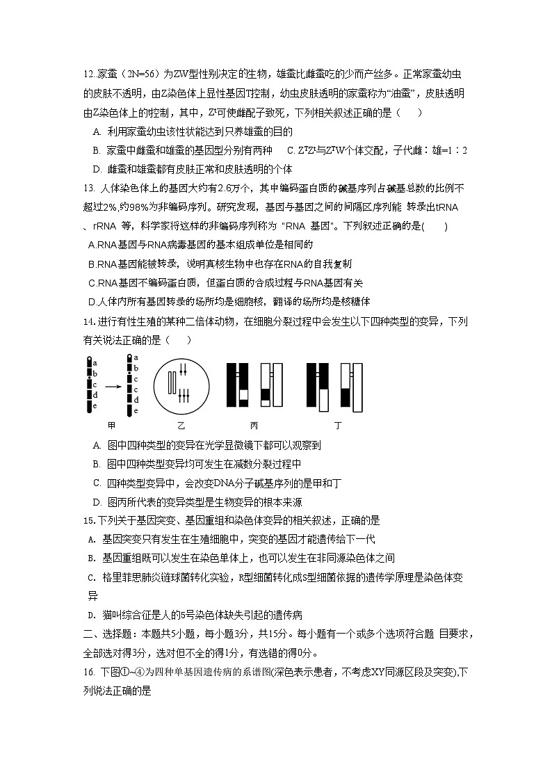 山东省淄博市临淄中学2022-2023学年高一下学期期中考试生物试题03