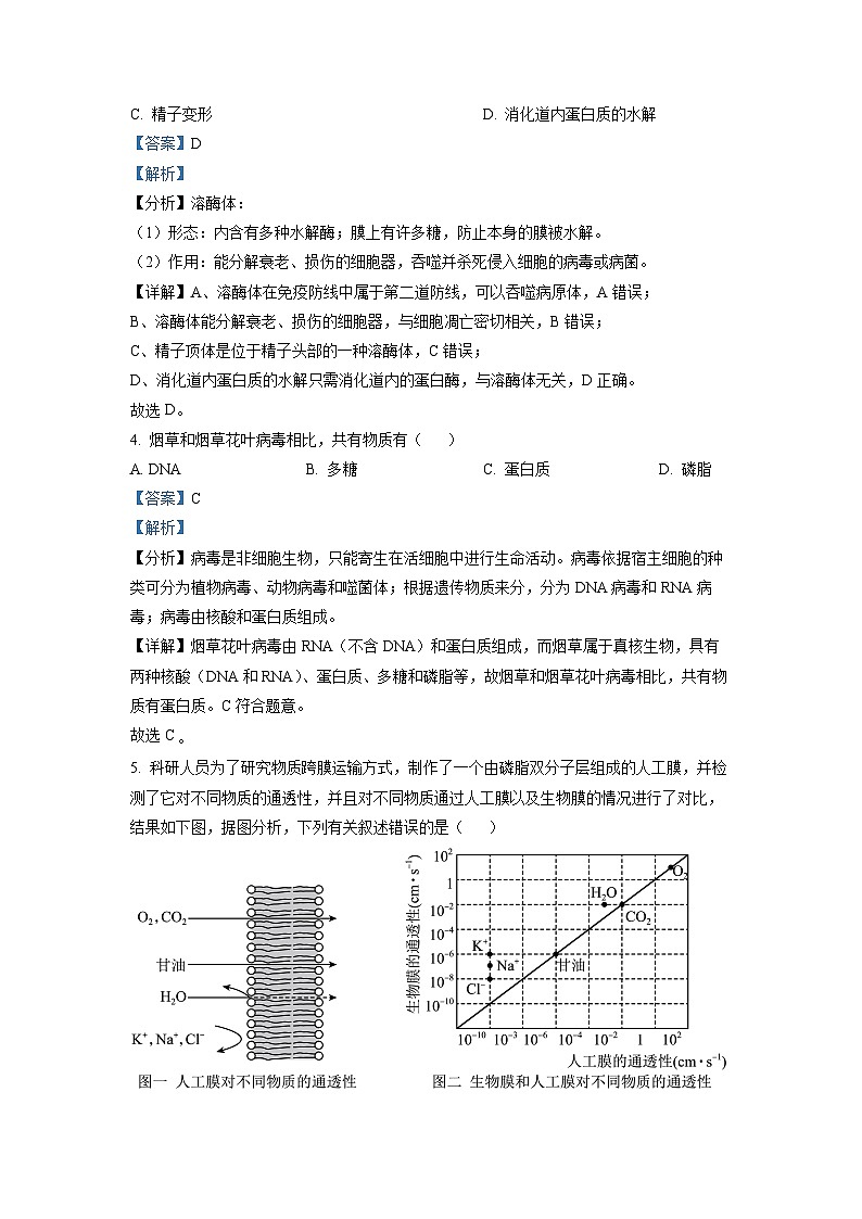 浙江省稽阳联谊学校2022-2023学年高三生物下学期4月联考试题（Word版附解析）第2页