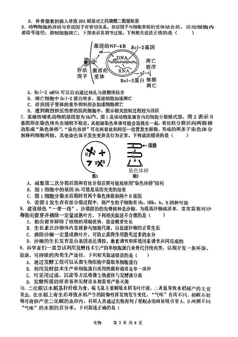 2023届天津市十二区重点学校高三毕业班联考(二)生物试卷02