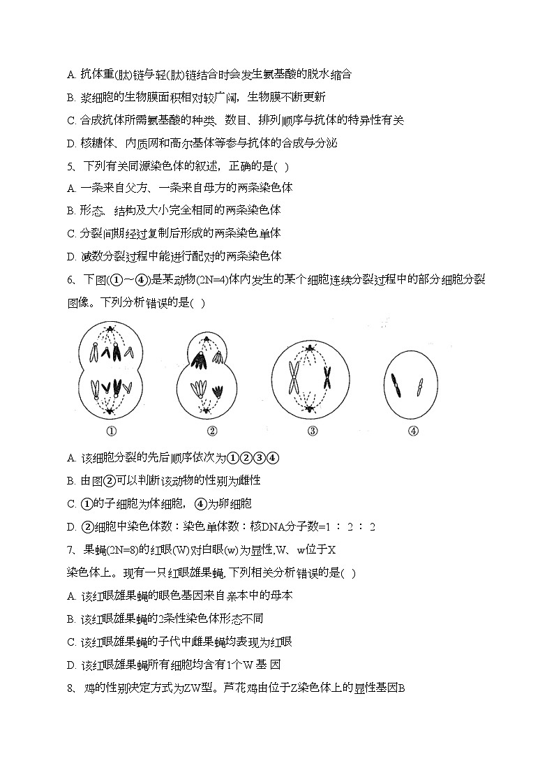 广东省2022-2023学年高一下学期4月联考生物试卷（含答案）第2页