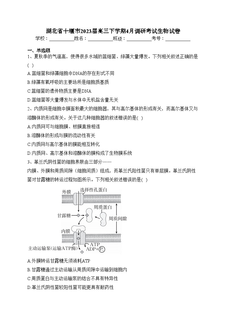 湖北省十堰市2023届高三下学期4月调研考试生物试卷（含答案）01