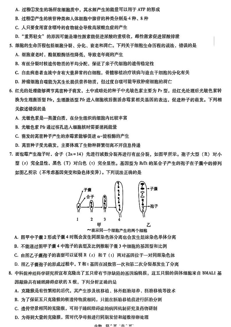 重庆市第一中学校2022-2023学年高三5月月考生物试题  PDF版无答案第2页