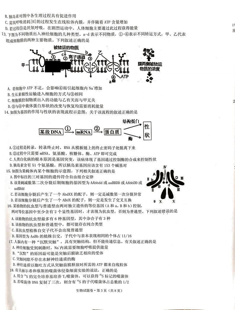 2020届浙江省杭州市学军中学等五校高三下学期联考生物试题 PDF版03
