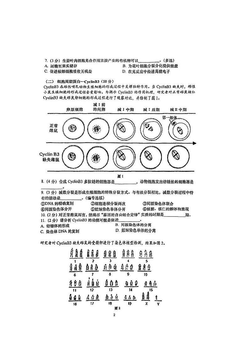 +上海市上海中学2022-2023学年高二下学期期中生物试卷02