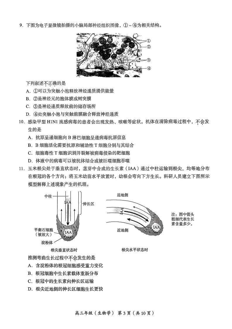 2023年北京海淀高三二模生物试题及答案第3页