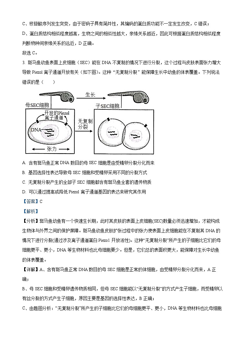 湖南师范大学附属中学2023届高三生物下学期模拟试卷（二）试题（Word版附解析）第2页