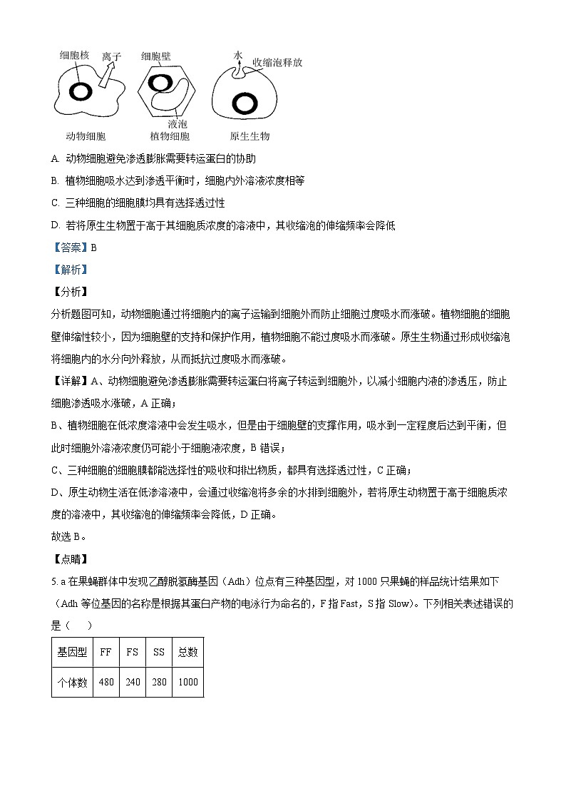 天津市和平区2023届高三生物二模试题（Word版附解析）03