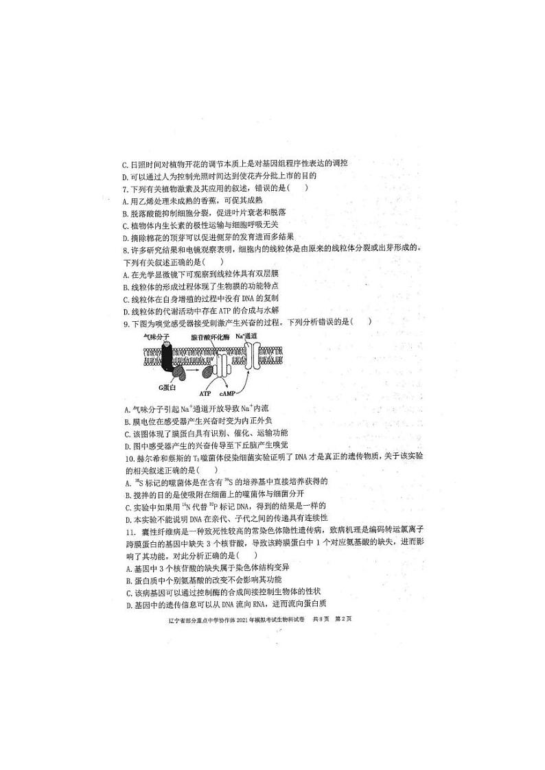 2021届辽宁省部分重点中学协作体高三下学期高考模拟考试生物试题 PDF版第2页