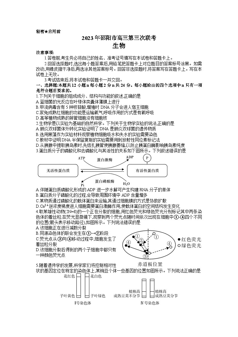 湖南省邵阳市2023届高三第三次联考三模生物试卷+答案01