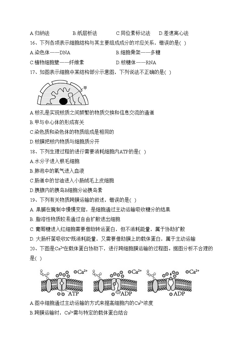 黑龙江省大庆市名校2022-2023学年高一下学期分班第二次考试生物试卷（含答案）03