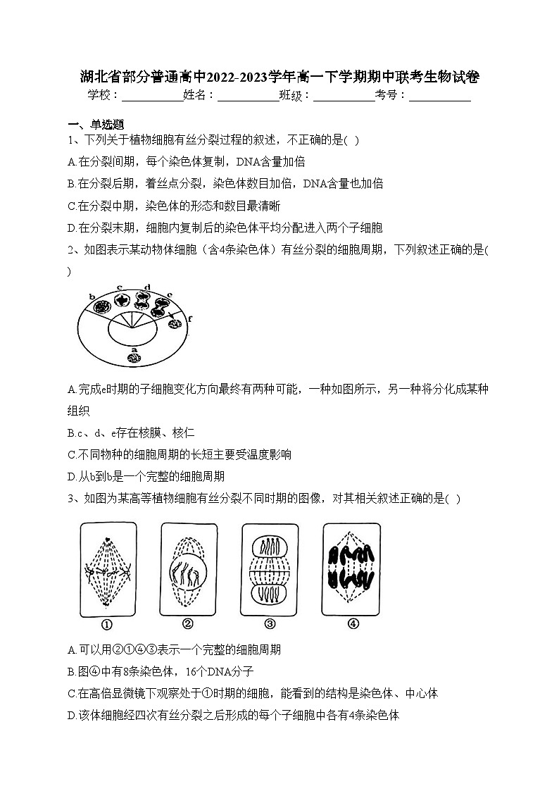 湖北省部分普通高中2022-2023学年高一下学期期中联考生物试卷（含答案）第1页