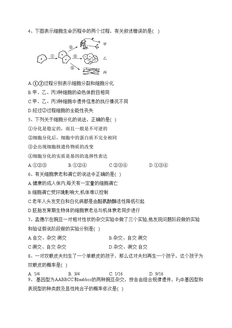 湖北省部分普通高中2022-2023学年高一下学期期中联考生物试卷（含答案）第2页
