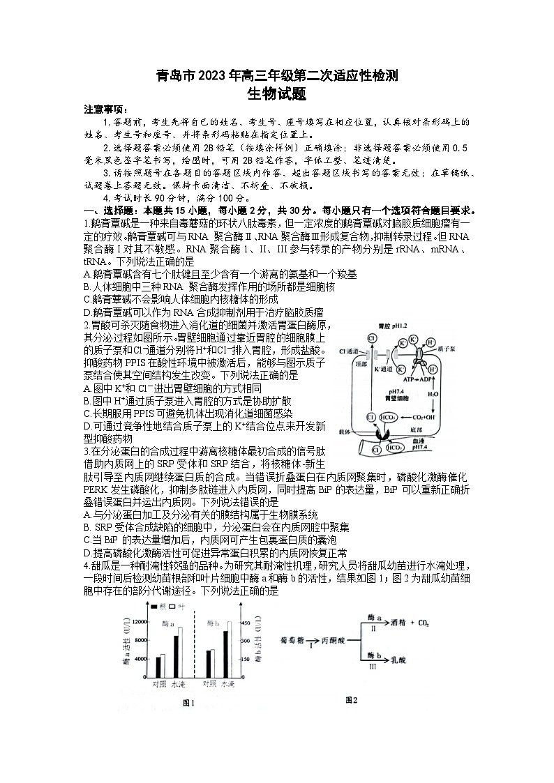 2023届山东省青岛市高三二模生物试题第1页