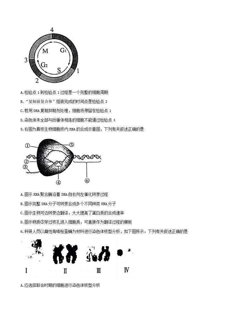 2023届江苏省南京市高三二模生物试题及答案第2页