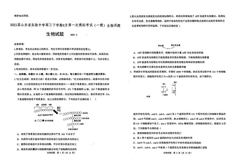 2021届山东省实验中学高三下学期4月第一次模拟考试（一模）生物试题 PDF版01