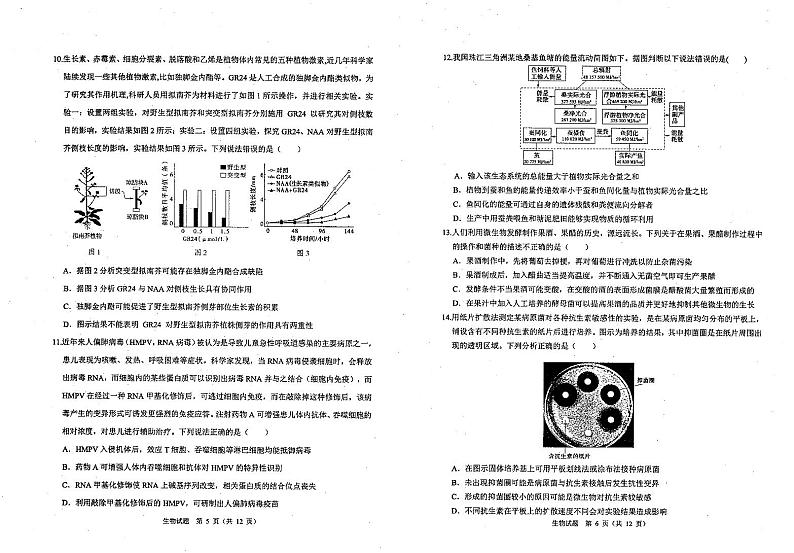 2021届山东省实验中学高三下学期4月第一次模拟考试（一模）生物试题 PDF版03