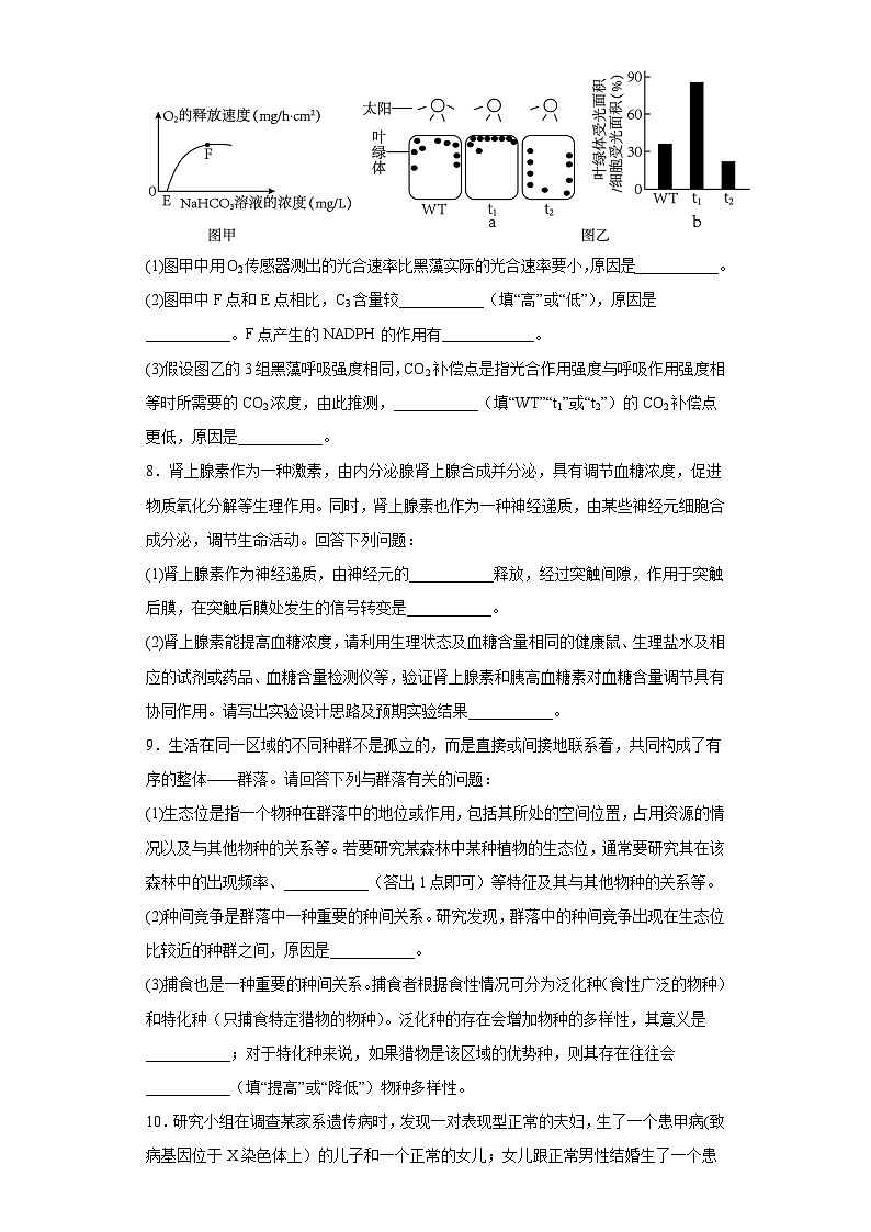 2023届陕西省西安市西咸新区高三二模理生物综试题（含答案）03