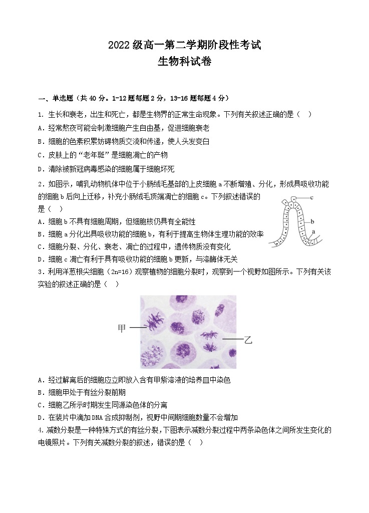 广东省汕头市金山中学2022-2023学年高一生物下学期3月阶段性考试试题（Word版附答案）01