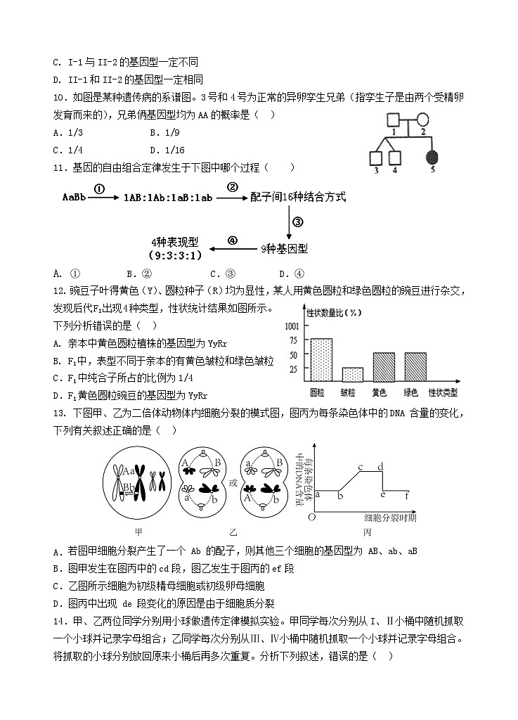 广东省汕头市金山中学2022-2023学年高一生物下学期3月阶段性考试试题（Word版附答案）第3页