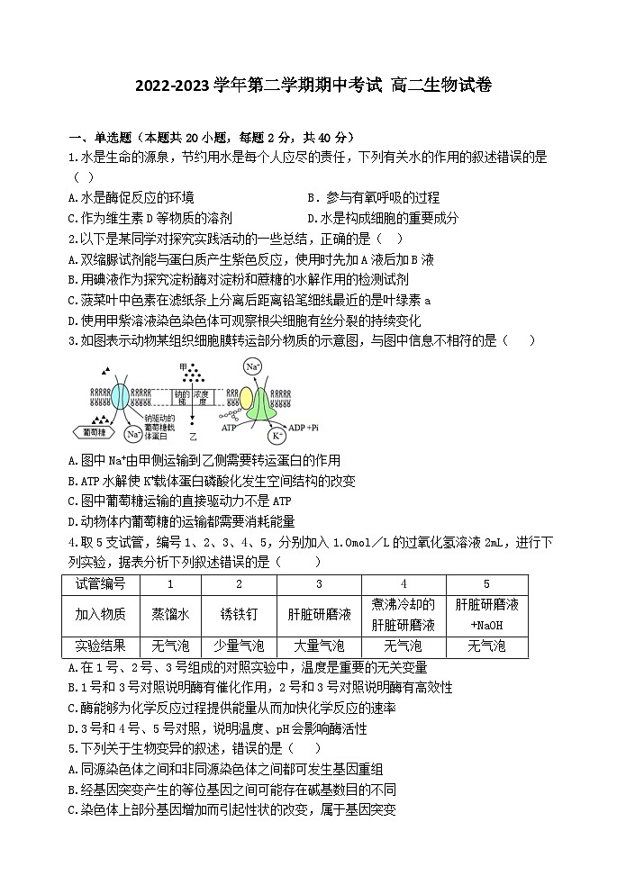 广东省汕头市金山中学2022-2023学年高二生物下学期期中考试试题（Word版附答案）01
