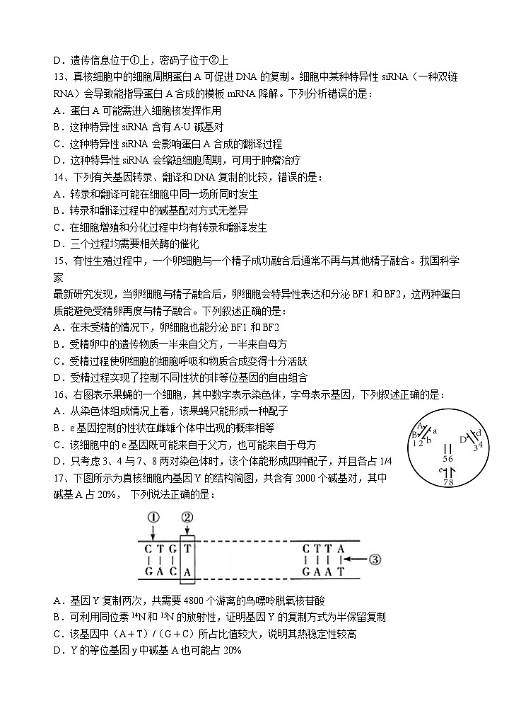 广东省汕头市金山中学2022-2023学年高一生物下学期期中考试试题（Word版附答案）03