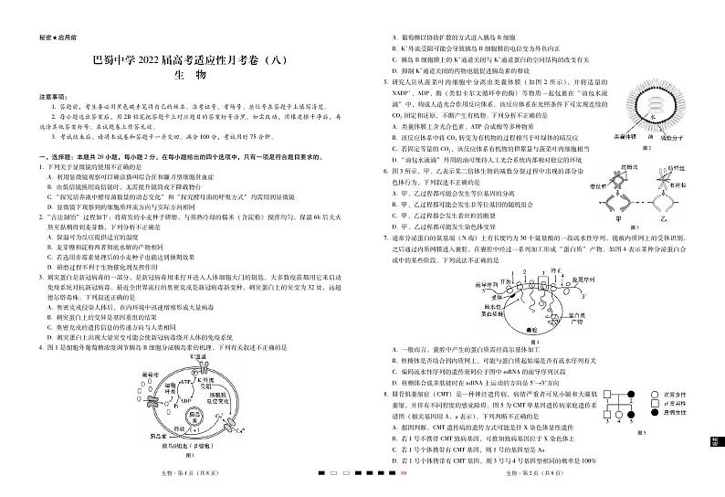2022届重庆市巴蜀中学高三下学期3月高考适应性月考卷（八）生物试题 PDF版01