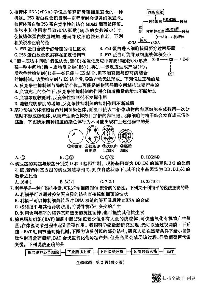 重庆市2023届高三下学期第九次质量检测 生物第2页