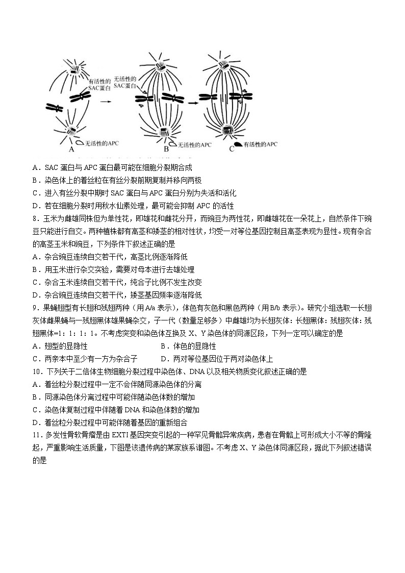 云南省曲靖市民族中学2022-2023学年高二生物下学期期中考试试题（Word版附答案）第3页