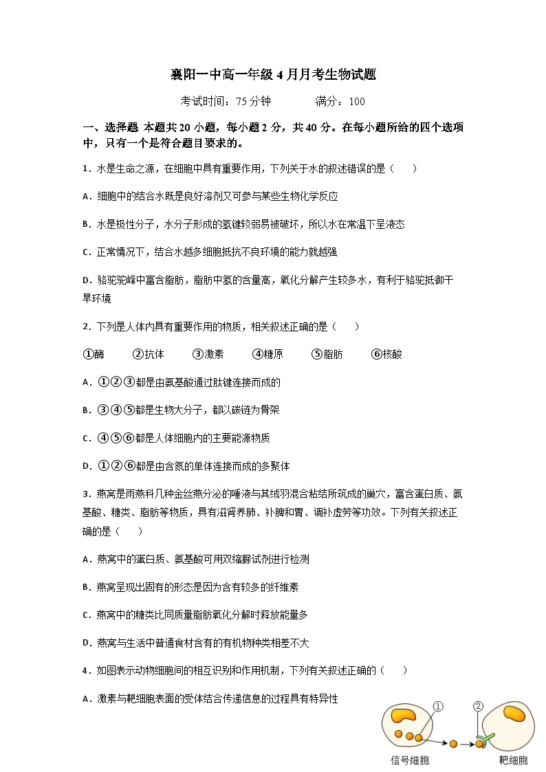 湖北省襄阳市第一中学2022-2023学年高一生物下学期4月月考试题（Word版附答案）01