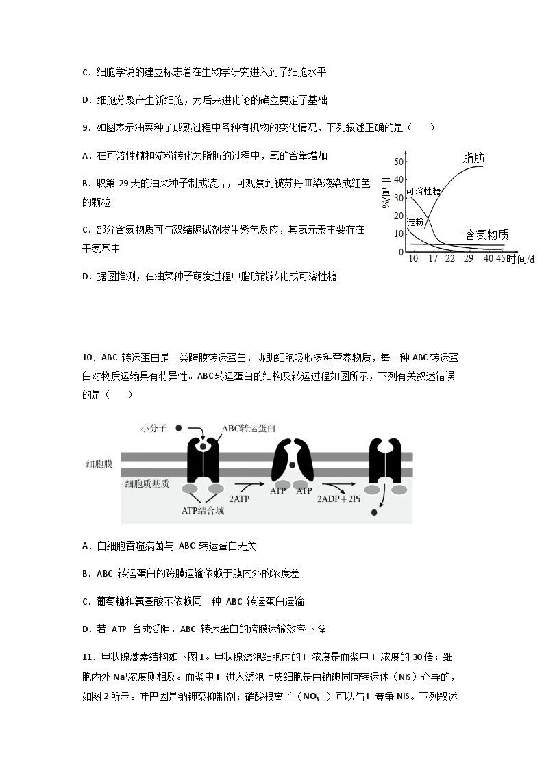 湖北省襄阳市第一中学2022-2023学年高一生物下学期4月月考试题（Word版附答案）03