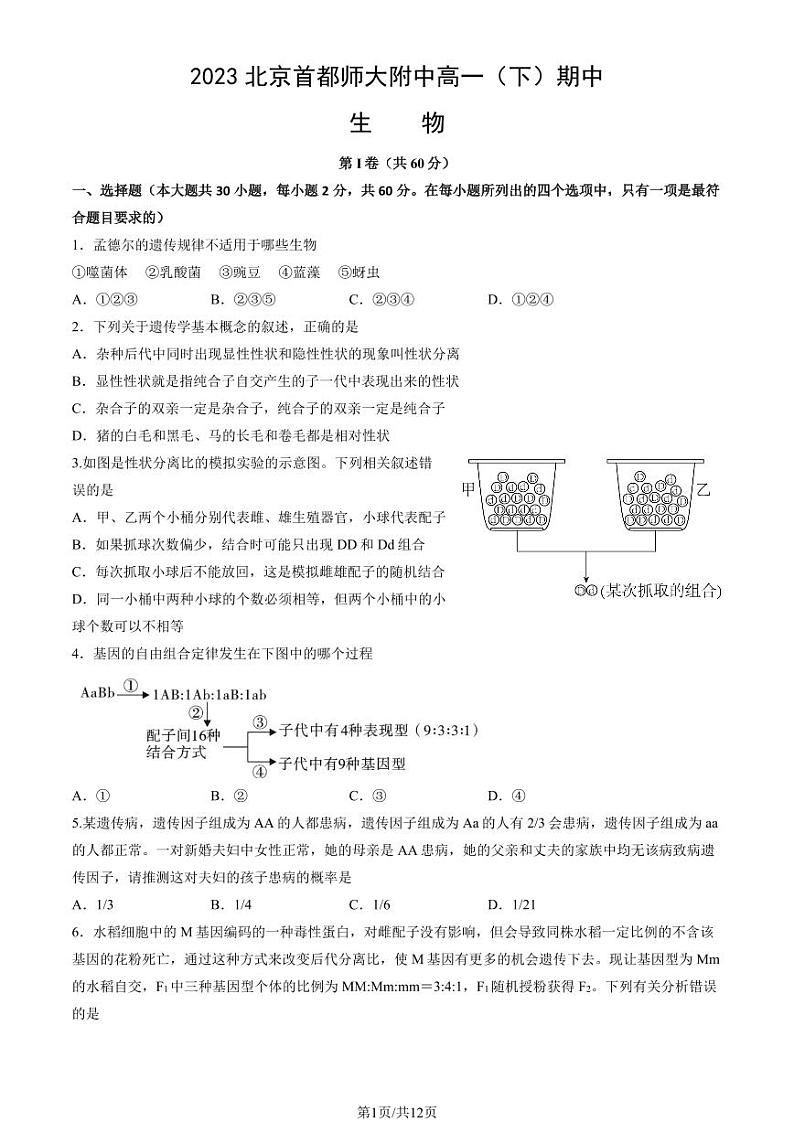 2023学年北京首师大附中高一（下）期中生物试题及答案第1页