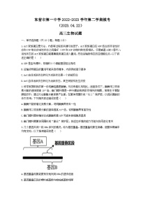 2022-2023学年山东省东营市第一中学高三下学期二模生物试题