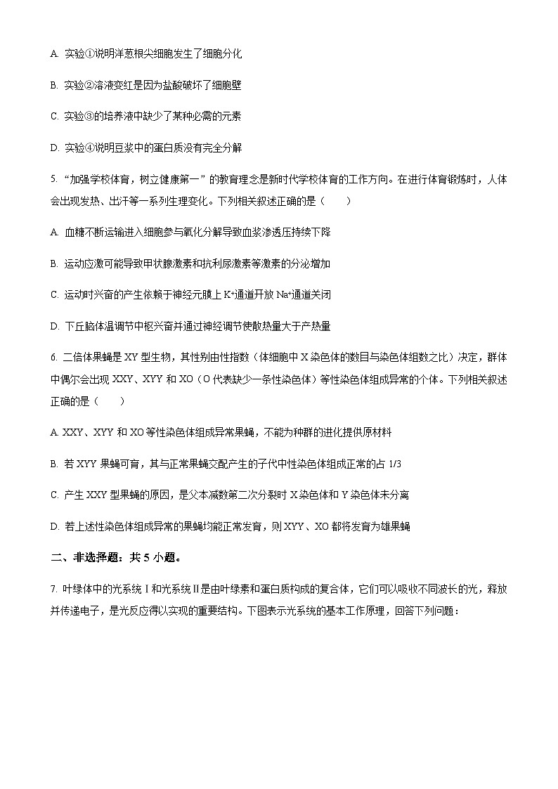 2023届四川省自贡市蜀光中学高三下学期生物模拟试题（十一）含解析02